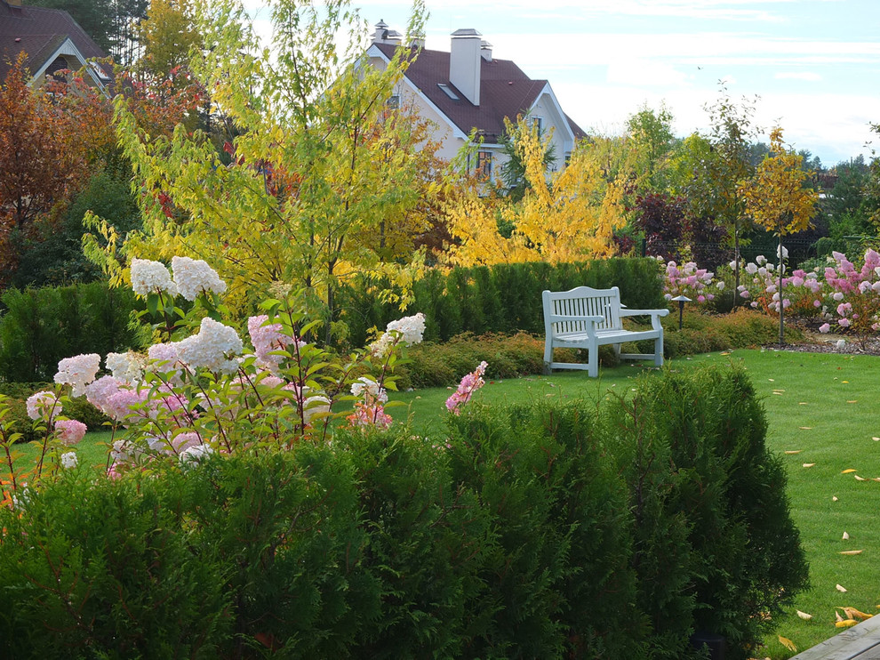 Участок со старой сосной