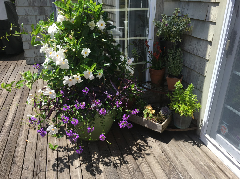 Sagaponack
