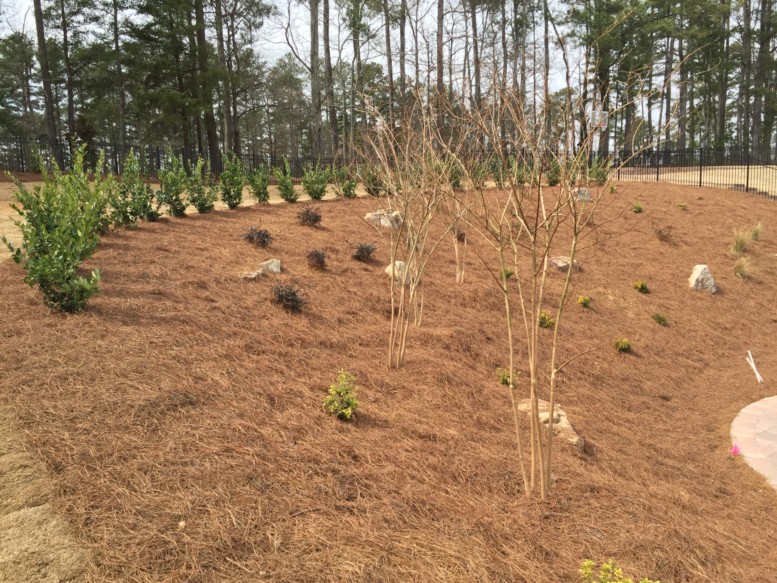 Alpharetta Yard Enhancements