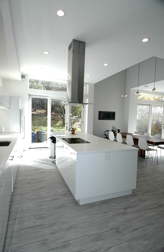 Inspiration for a mid-sized modern galley eat-in kitchen in Boston with an undermount sink, flat-panel cabinets, white cabinets, solid surface benchtops, linoleum floors, with island, white splashback, window splashback and panelled appliances.