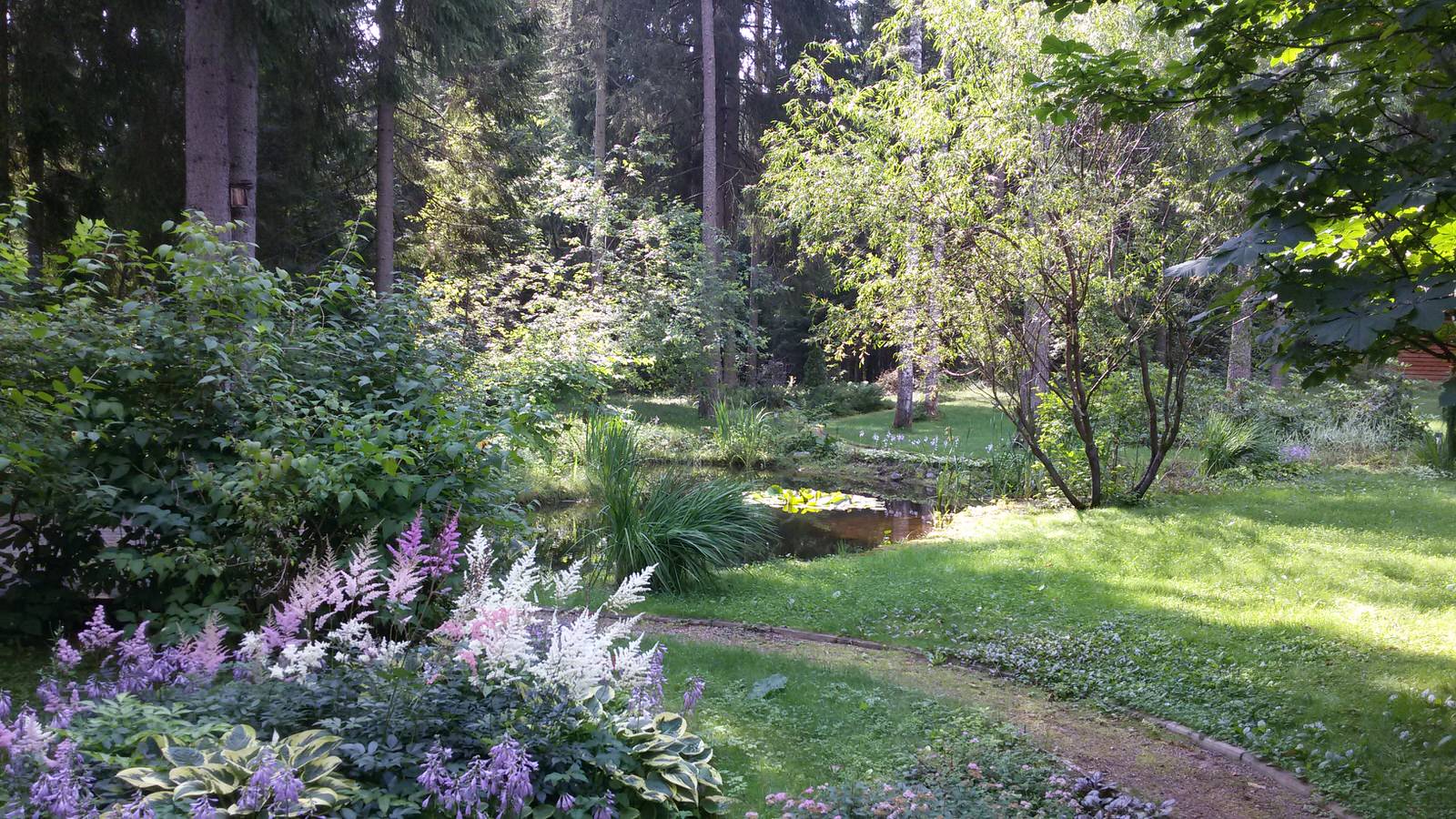 Вид на пруд с прогулочной дорожки