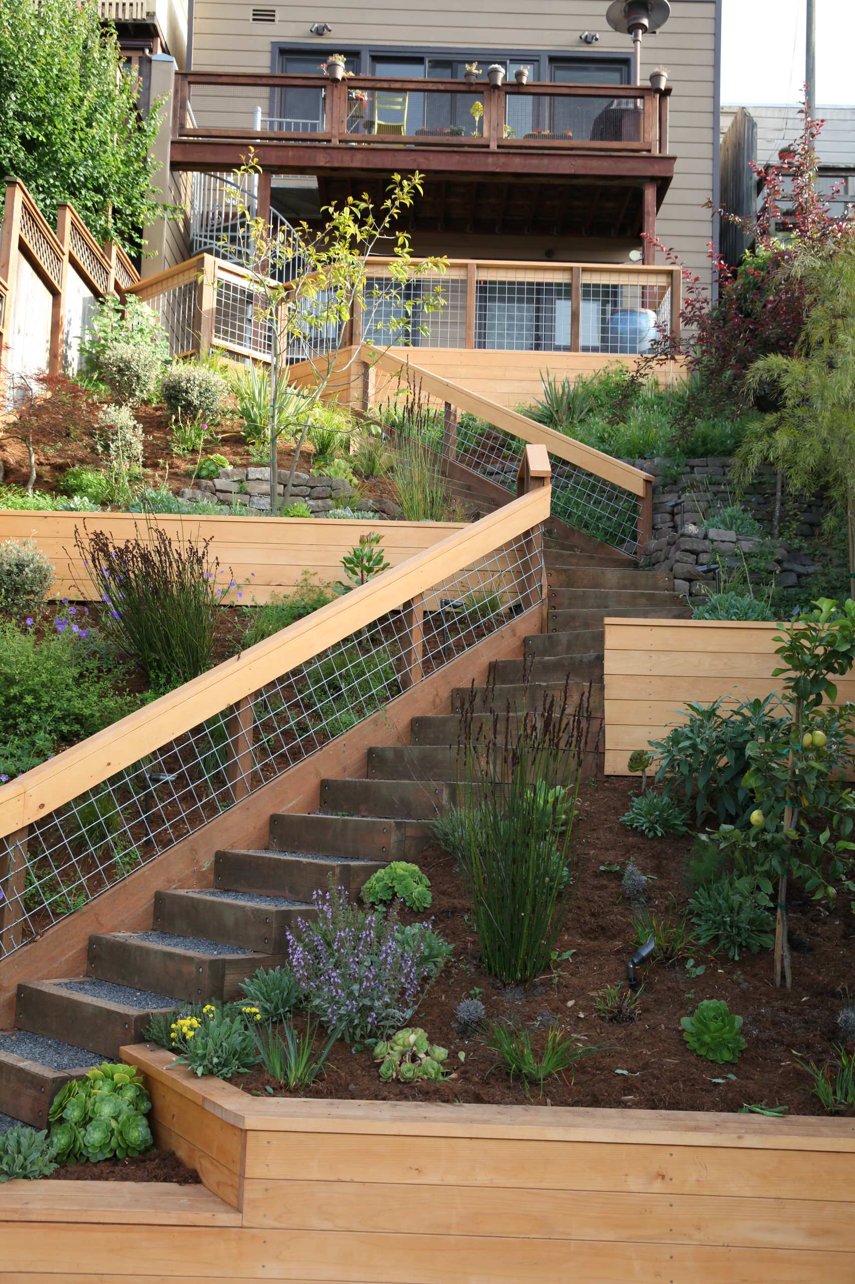 City View Garden - Bernal Heights