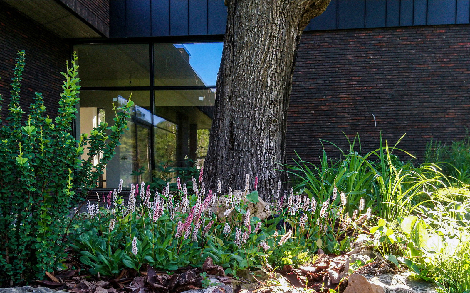 Проект в стиле лофт