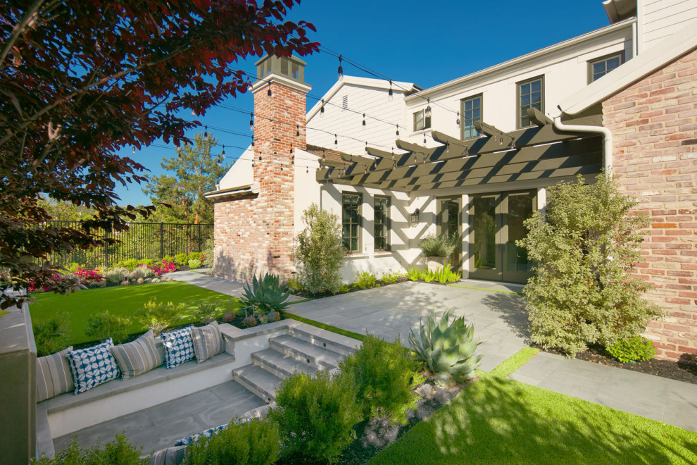 Contemporary Backyard