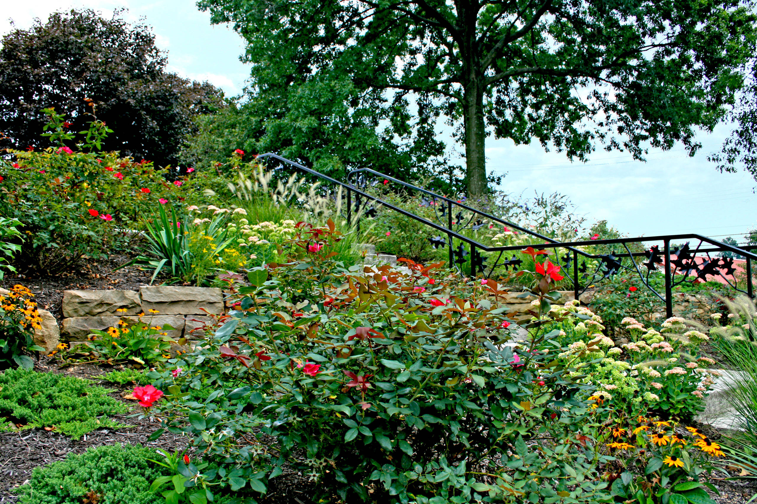 Sloped Front Yard Planting