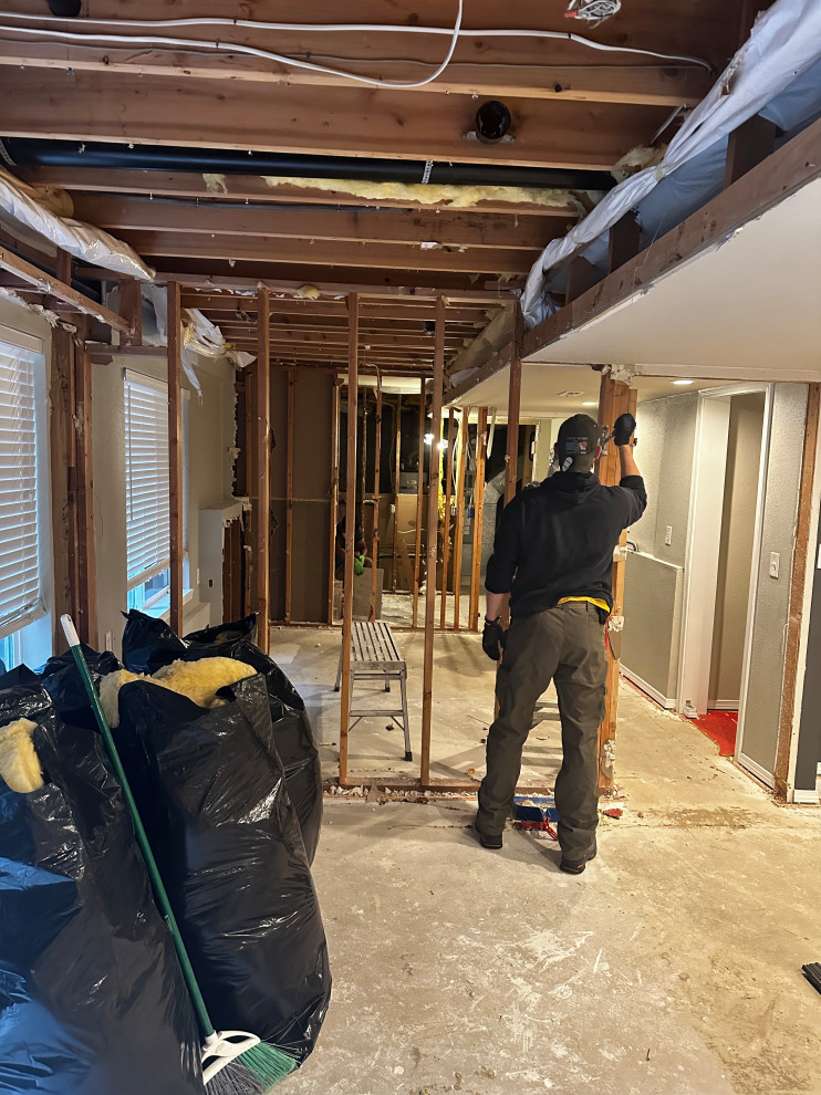 Federal Way Basement Remodel