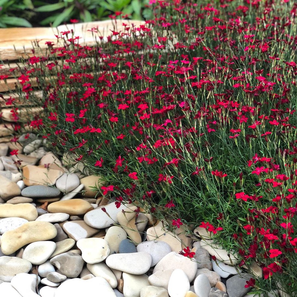 Живописный цветник