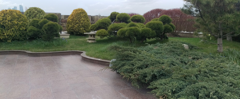 Большой сад на крыше