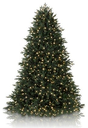 Balsam Hill Norway Spruce Artificial Christmas Tree