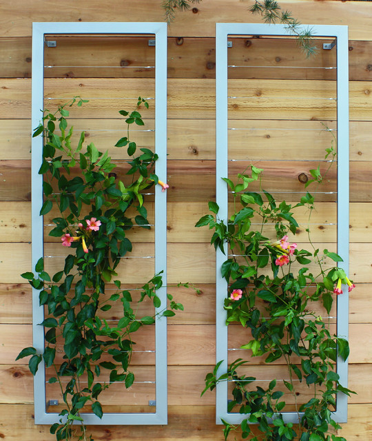 See 10 Ways a Trellis Can Boost Your Garden