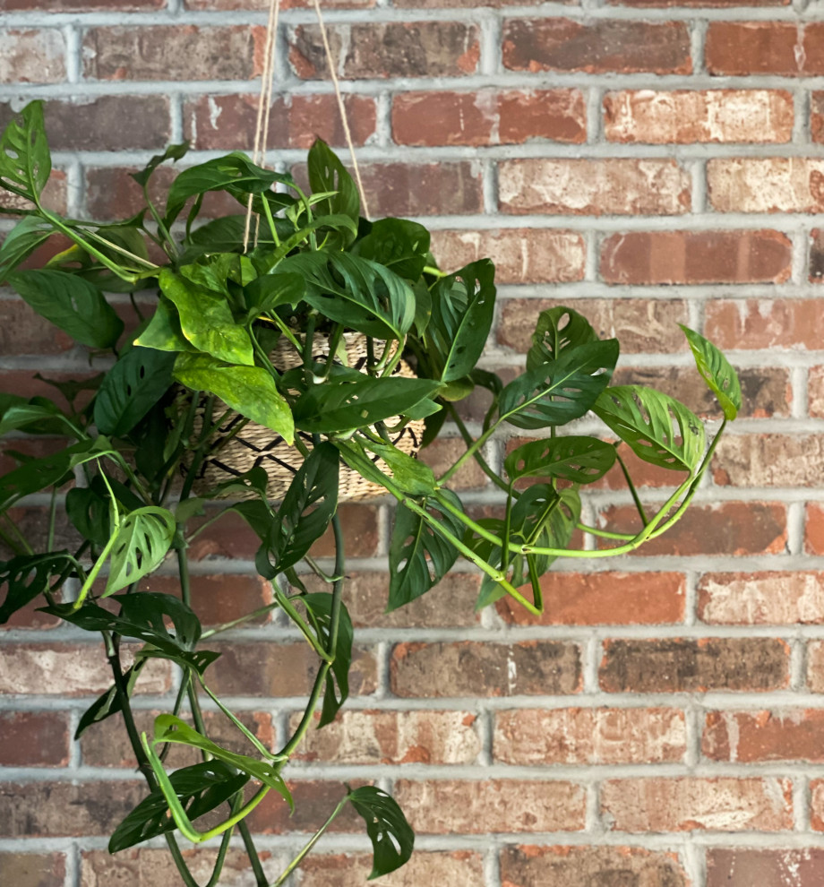 Urban Kitchen | Denver, CO | Modern Masculine Contemporary Renovation