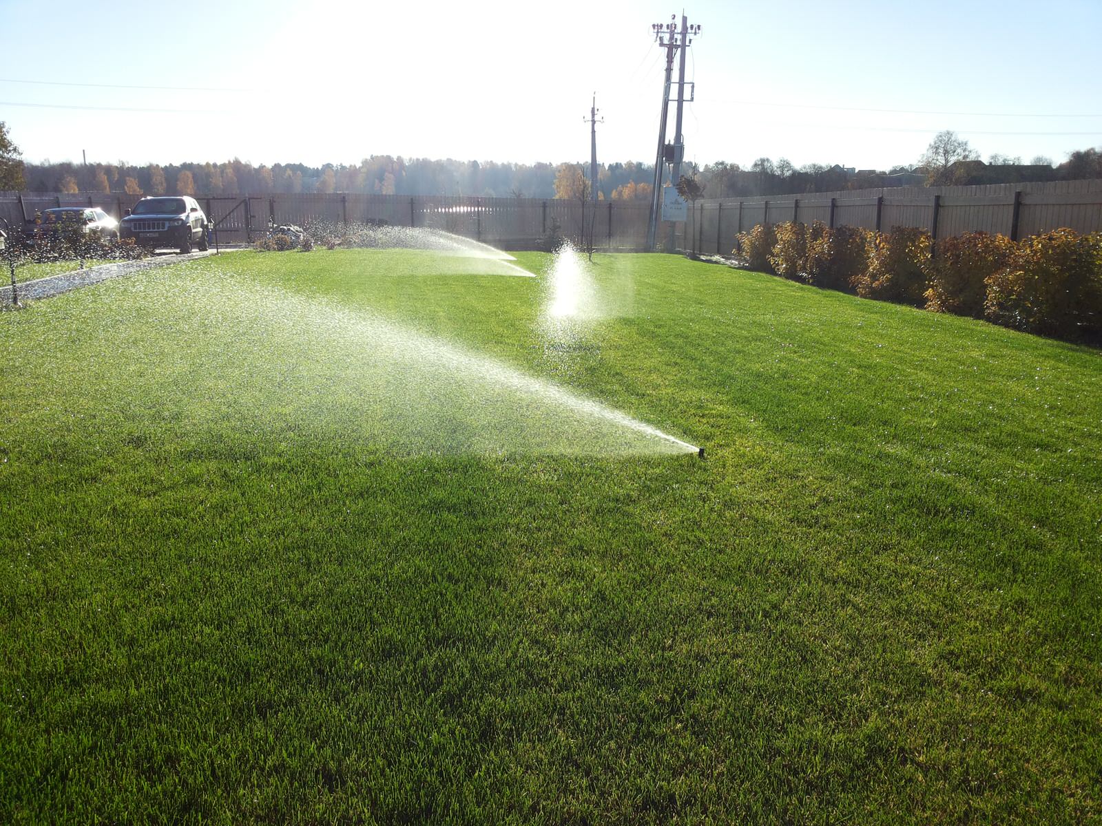 Общая информация для статьи "Современный автополив, какую систему полива выбрать