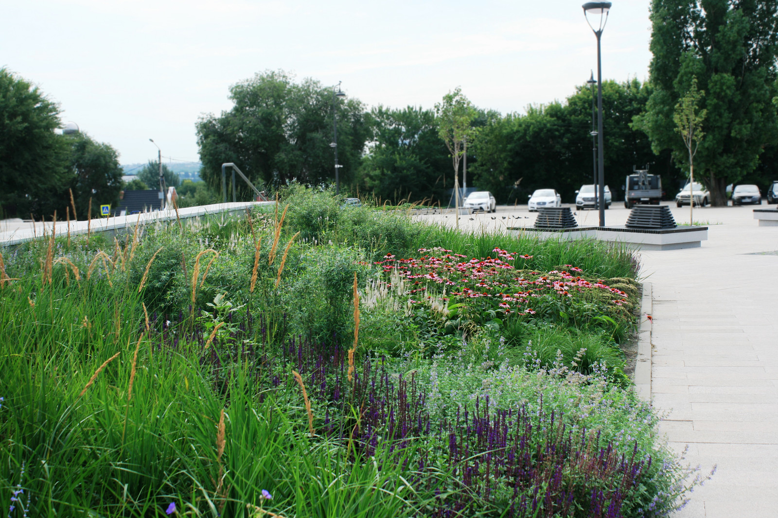 Цветники Советской площади