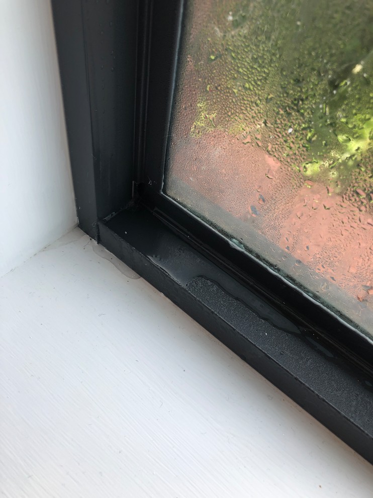 Aluminium window condensation | Houzz AU