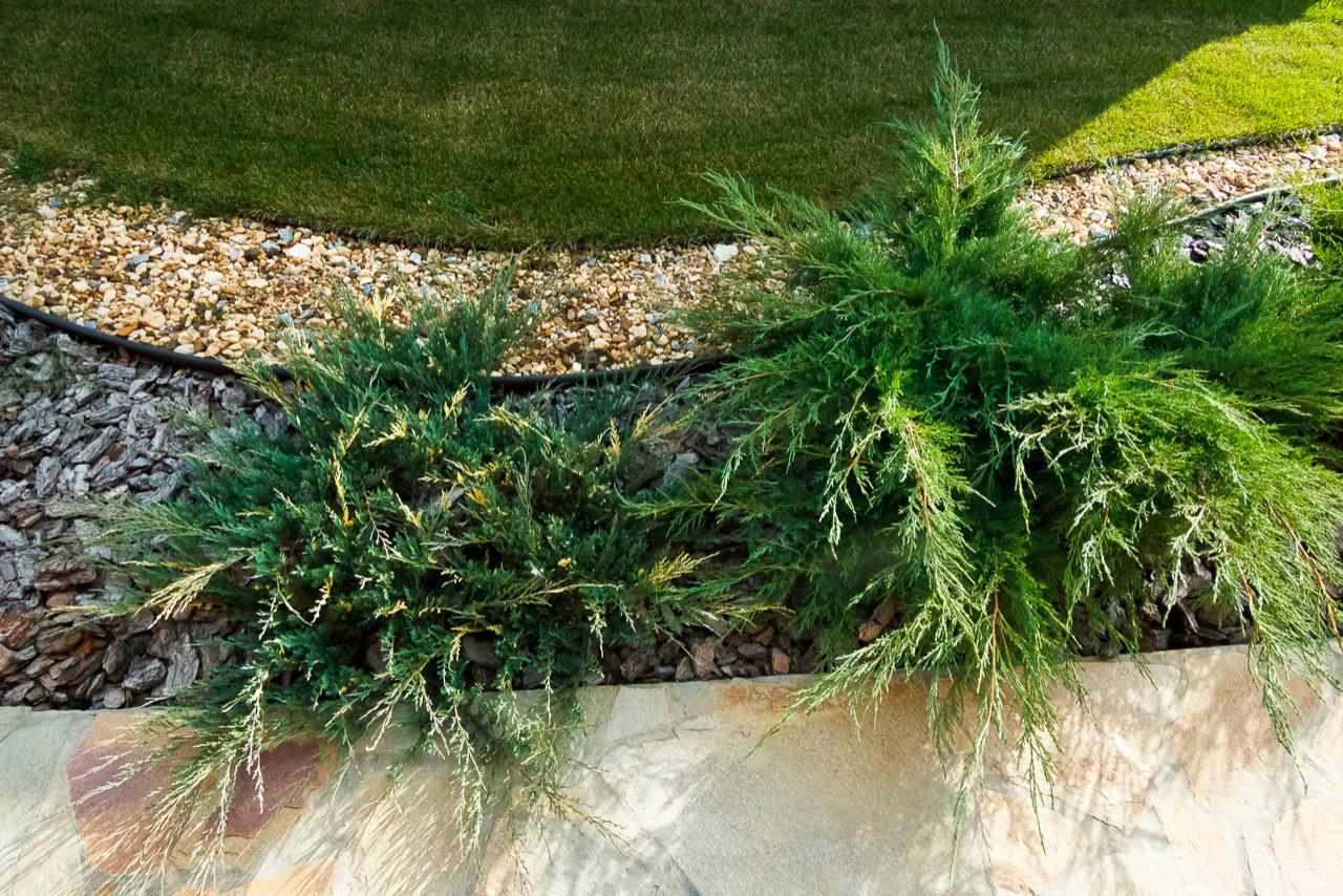 Минимализм в саду