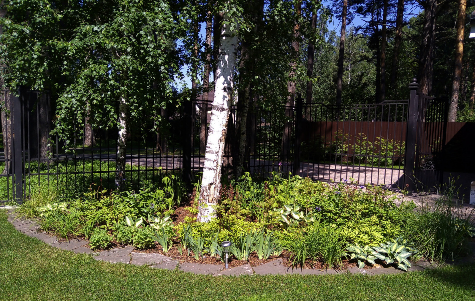 Цветники под пологом леса