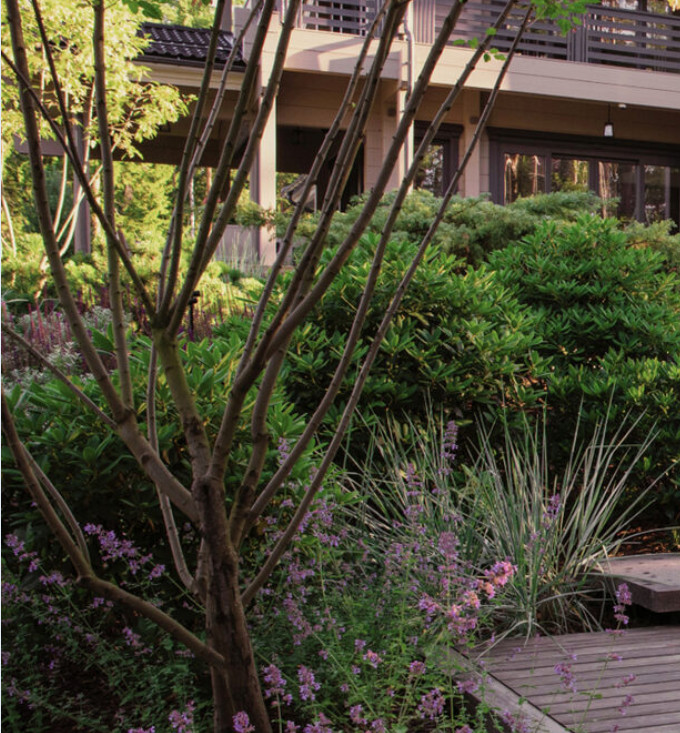 Завершенные проекты