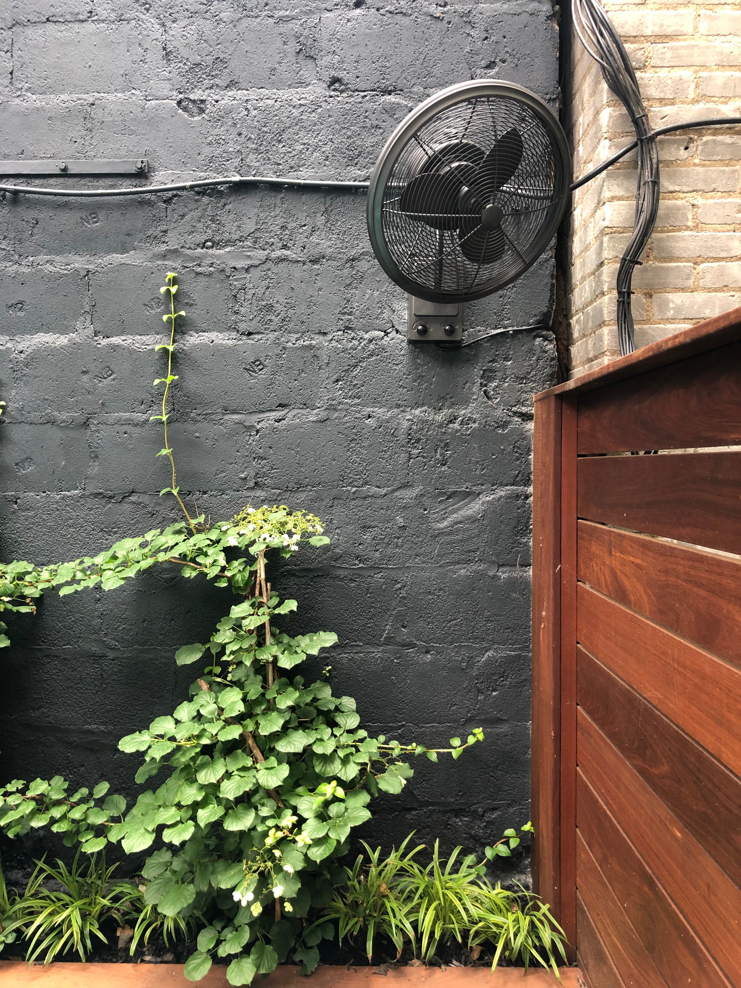 Brooklyn Heights Backyard 1