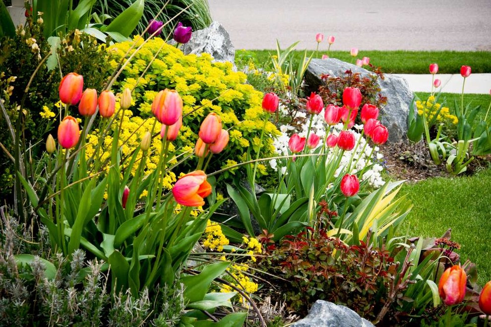 This is an example of a small rustic full sun front yard retaining wall landscape in Denver.