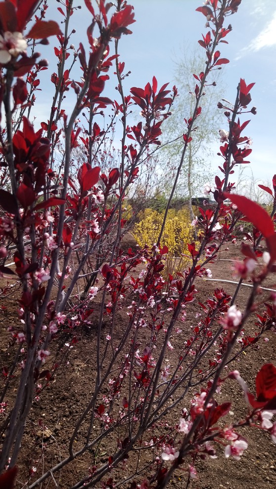 Медицинский центр