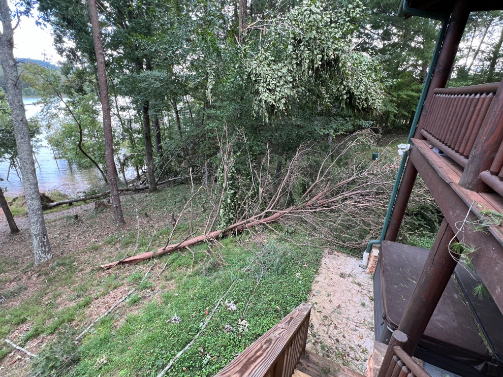 Lake Haven Lodge Tree Clearing