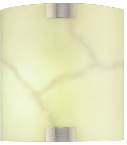 Steel 1 Light Fluorescent Wall Sconce With Glass Shade