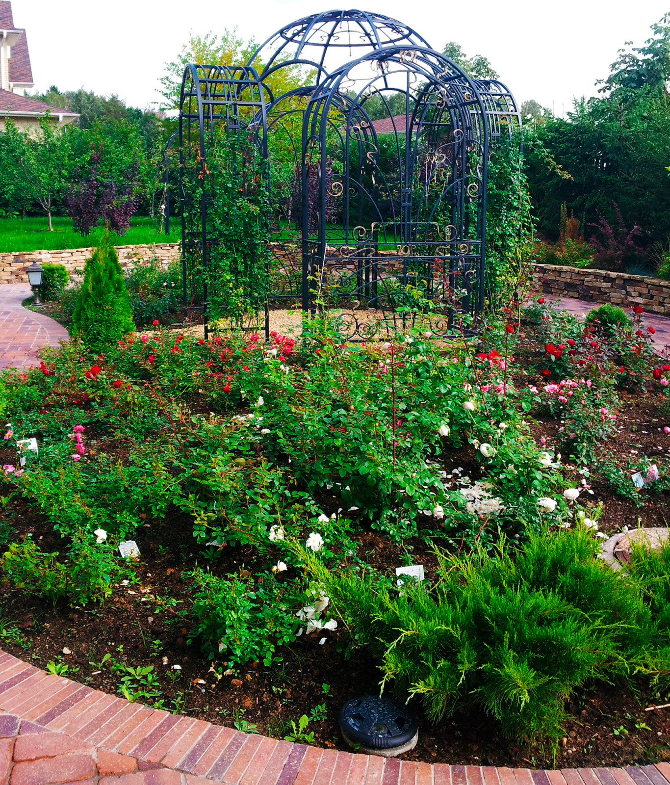 Проект дачного участка - розарий.