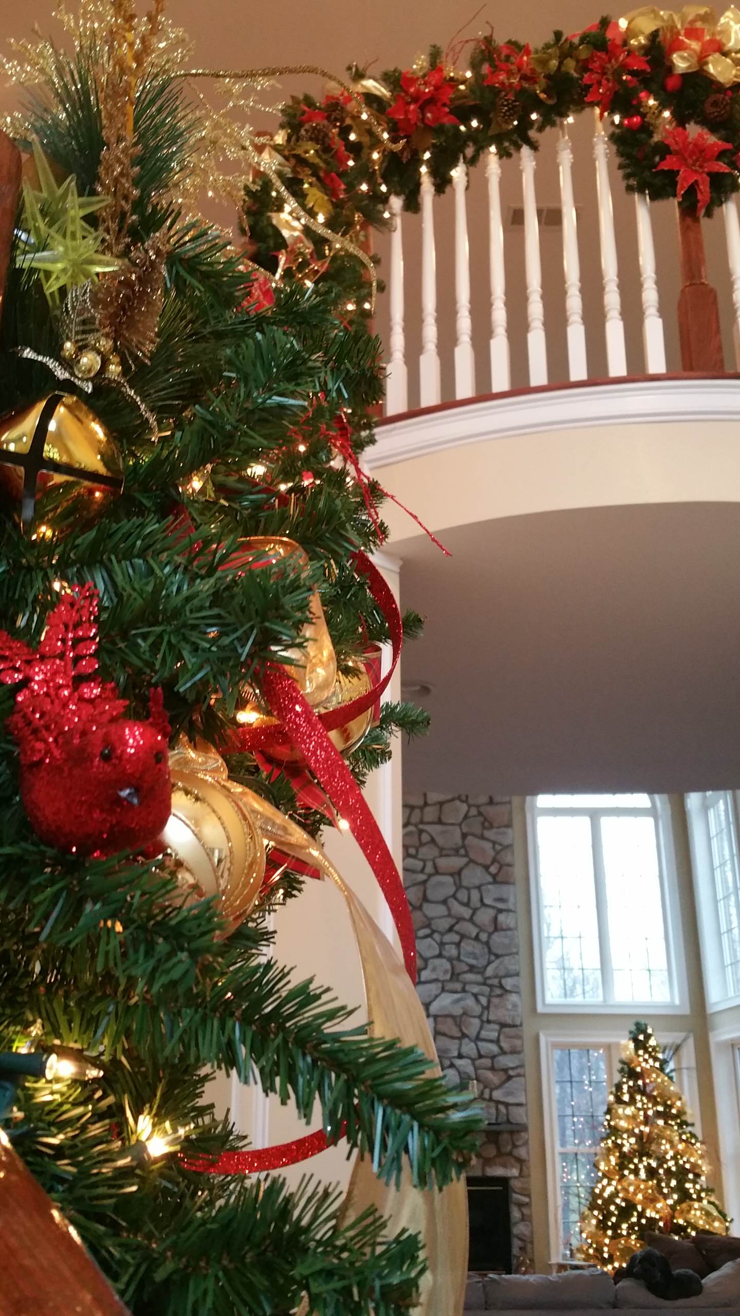 The love of Christmas!