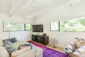 Marin Treehouse Remodel