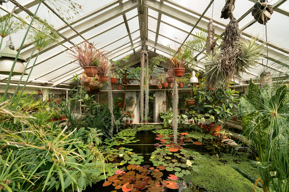 Ботанический сад в сердце Петербурга