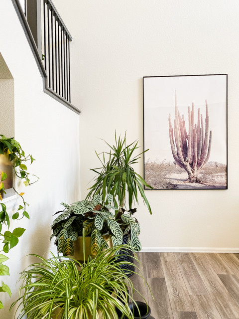 Perez Living & Bath | Aurora, CO | Contemporary Main Floor Remodel