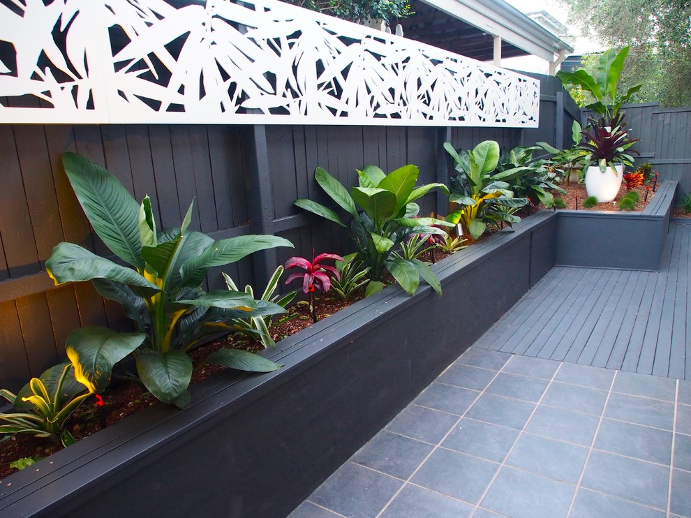 Photo of a small modern courtyard garden in Brisbane with decking.