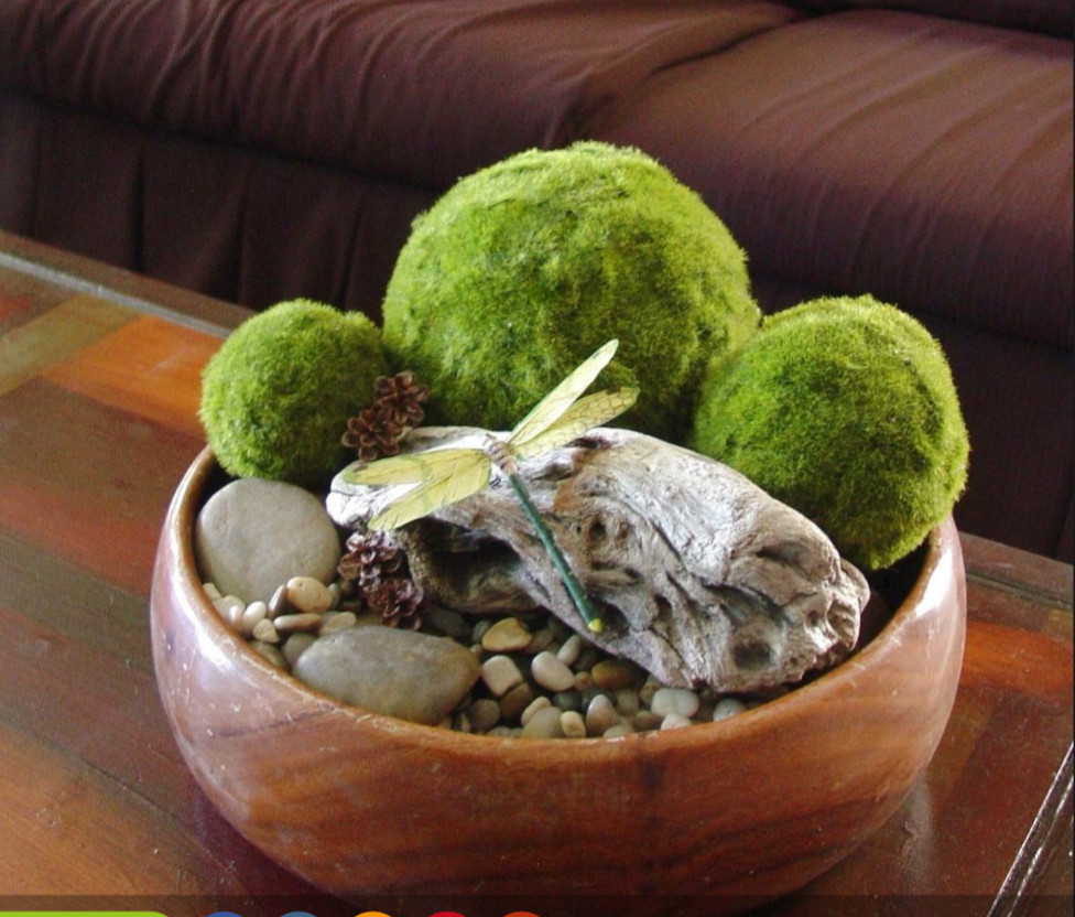 Мох в интерьере