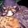 robin_smallen