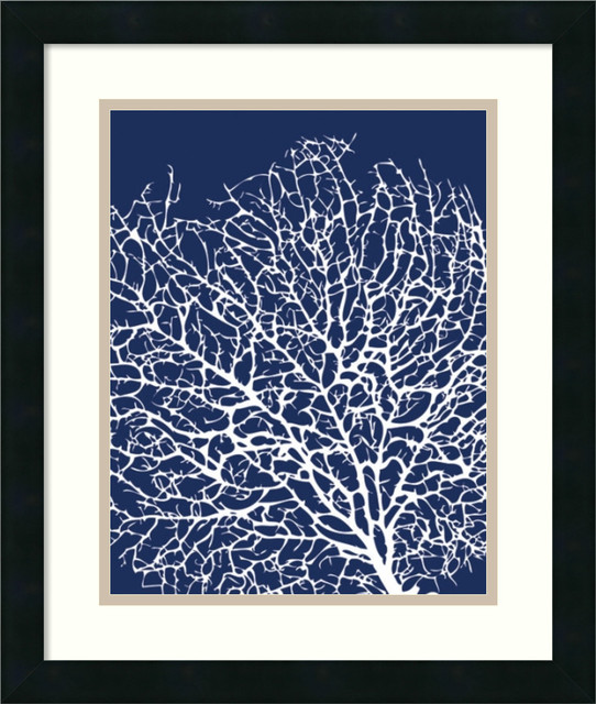 Framed Art Print 'Navy Coral I' by Sabine Berg, Outer Size 17x20