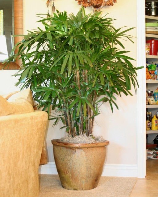 Cozy Corner Rustic Planter Pot rustik-vardagsrum