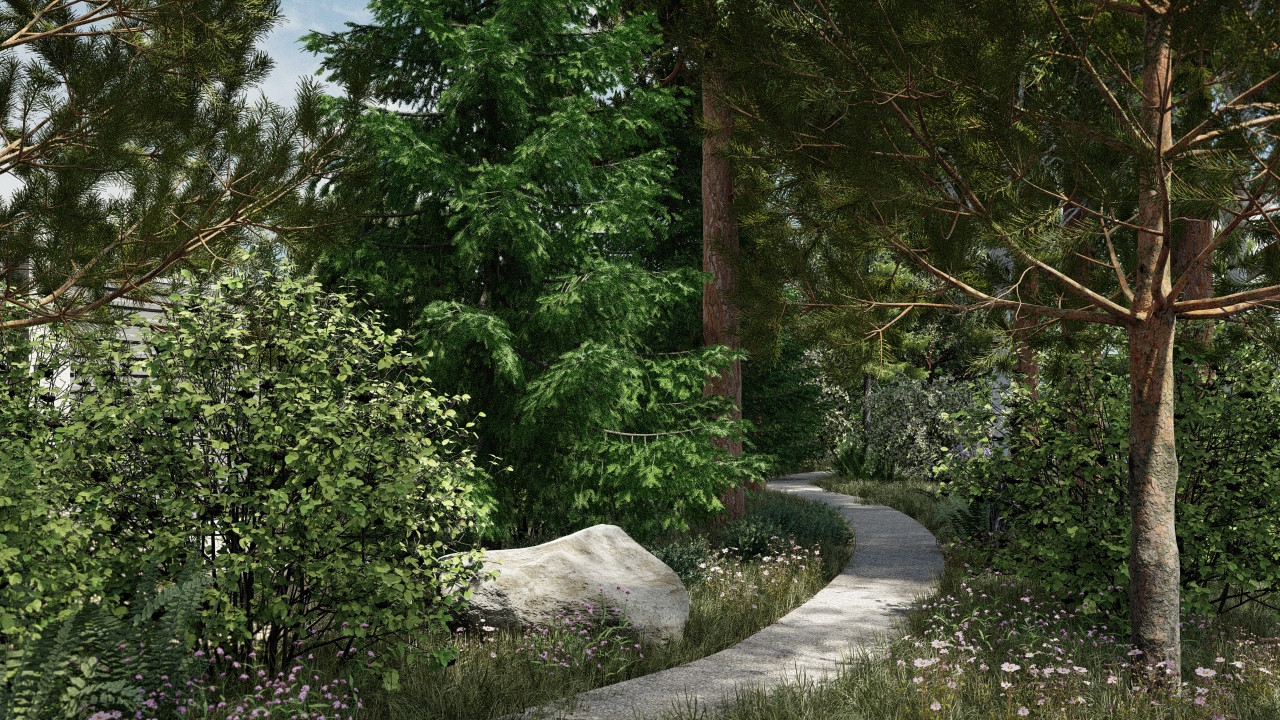 Визуализация Репино парк