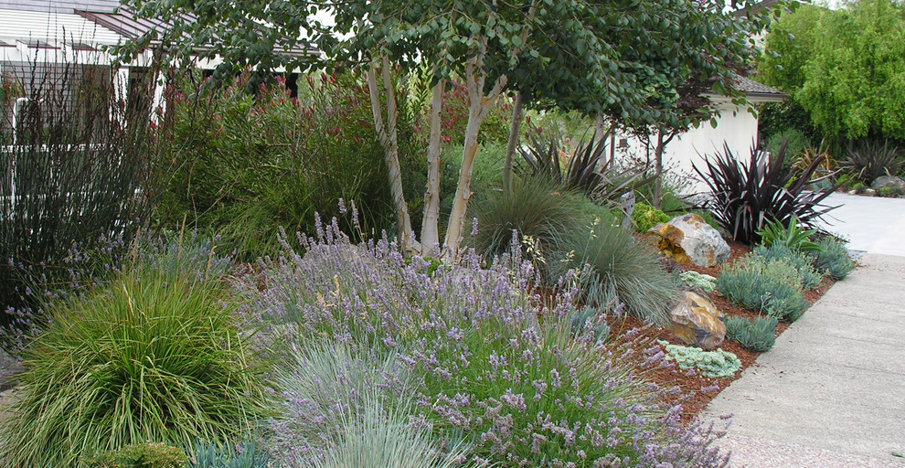 This is an example of a small country front yard partial sun garden for spring in San Francisco with a garden path and mulch.