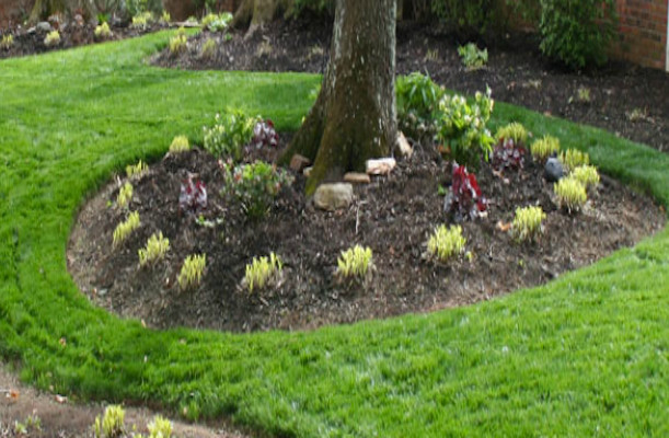 Photo of a mid-sized partial sun front yard mulch landscaping.