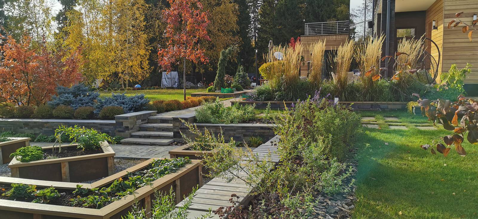 Благоустройство участка 20 соток в КП Пестово