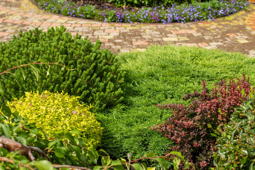 Сад с зеленой крышей