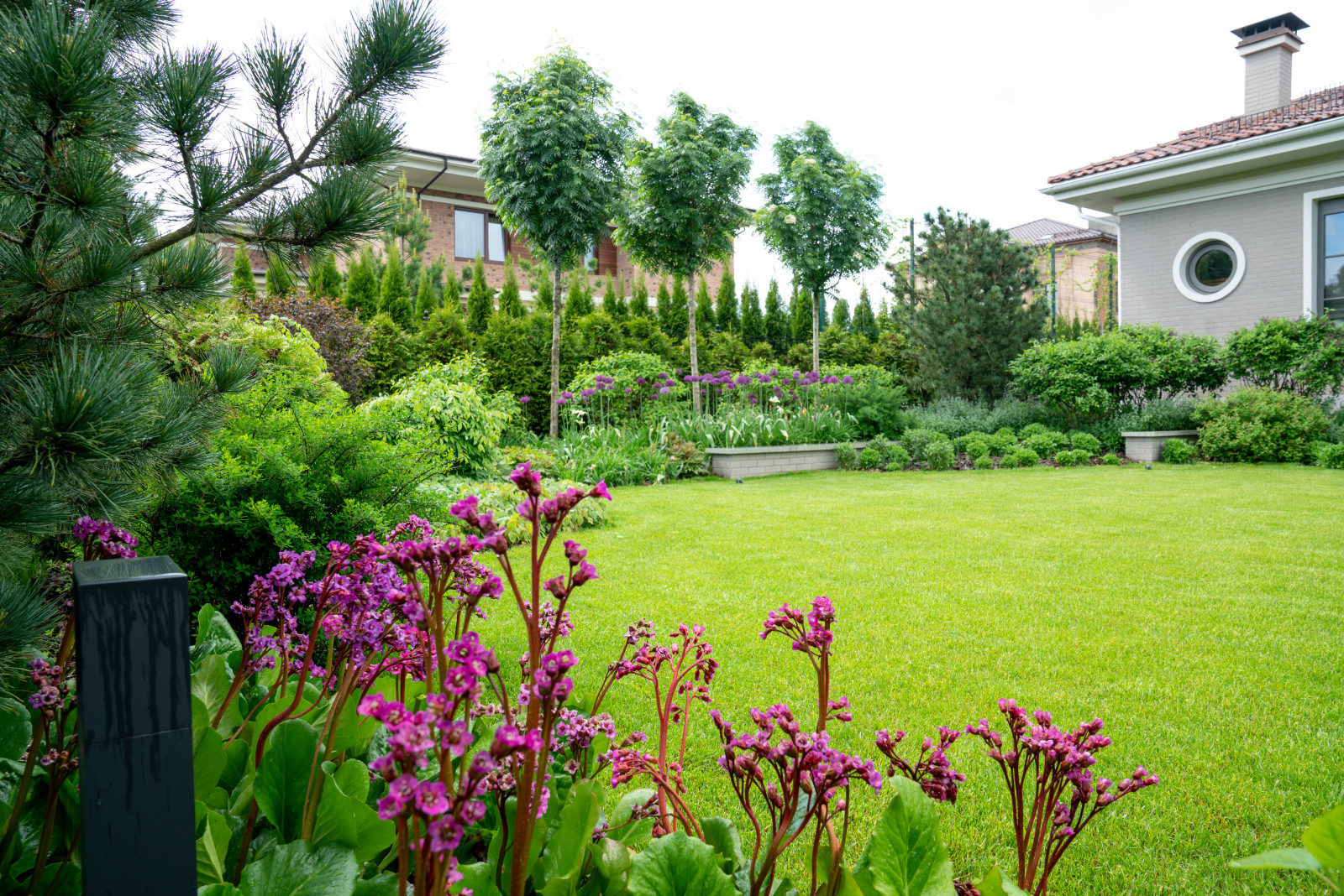 Игра контрастов. Миллениум Парк 2018 г.