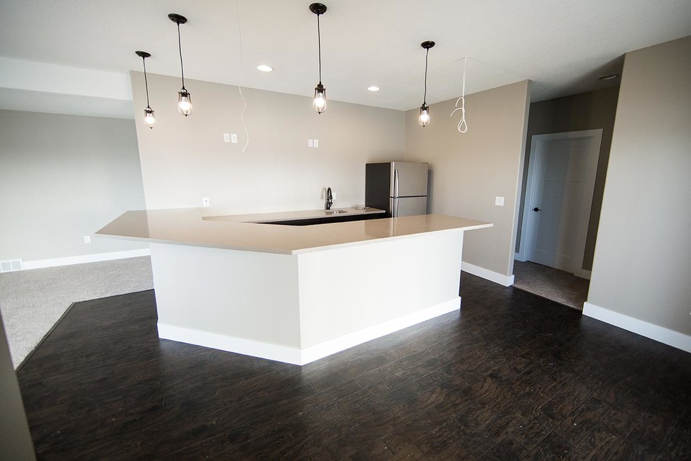 Transitional home design photo in Cedar Rapids