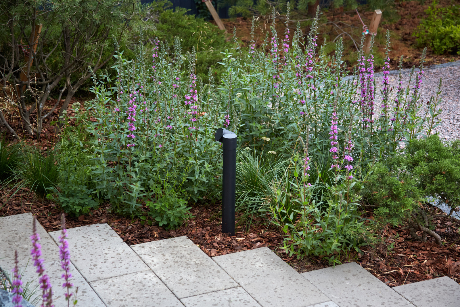 Модульный сад