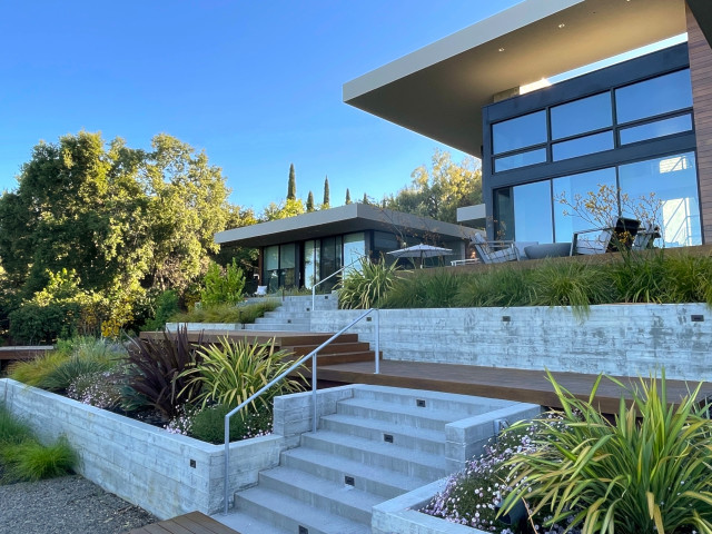 Los Altos Hills minimalistisch-garten