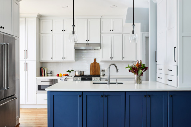 Kitchen and Interior Remodel in Washington, DC transitional-kitchen