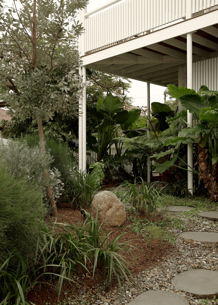 This is an example of a contemporary front partial sun garden in Brisbane with concrete paving.