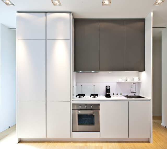 Kitchen contemporary-kitchen