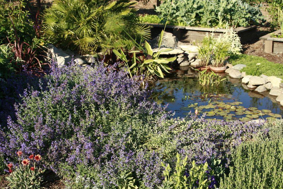 Photo of a traditional backyard full sun garden for summer in San Francisco with a water feature.