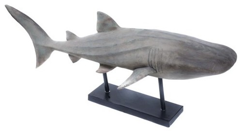 Shark Decor